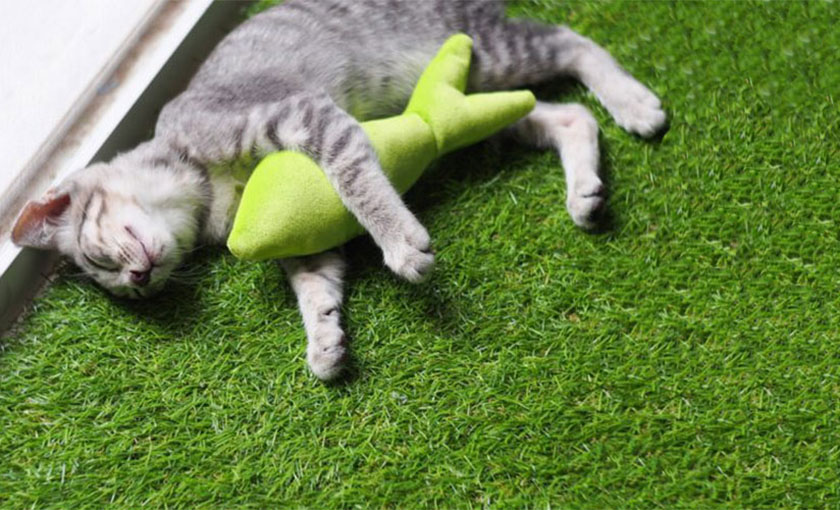 Manufacturer, Supplier and Wholesaler of artificial grass for pets