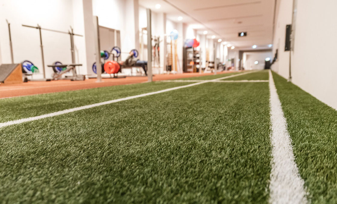 Artifical Grass for Gyms