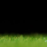 portable putting green banner