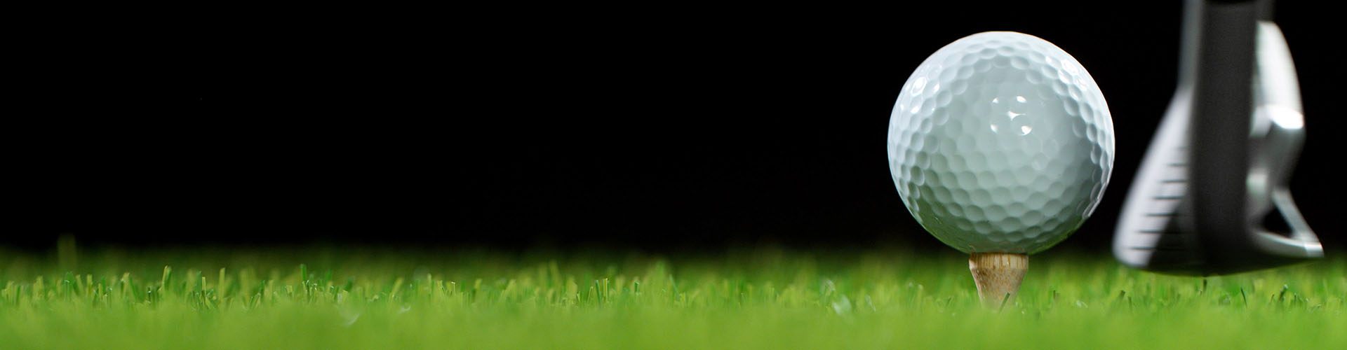 portable putting green banner