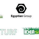 Egyptian Artificial Grass manufacturers and suppliers