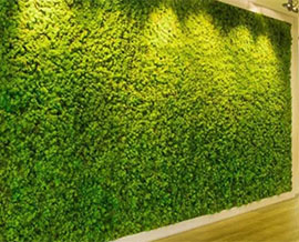 Artificial Grass Wall