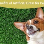 Benefits of Artificial Grass for Pets