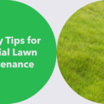 easy tips for artificial lawn maintenance