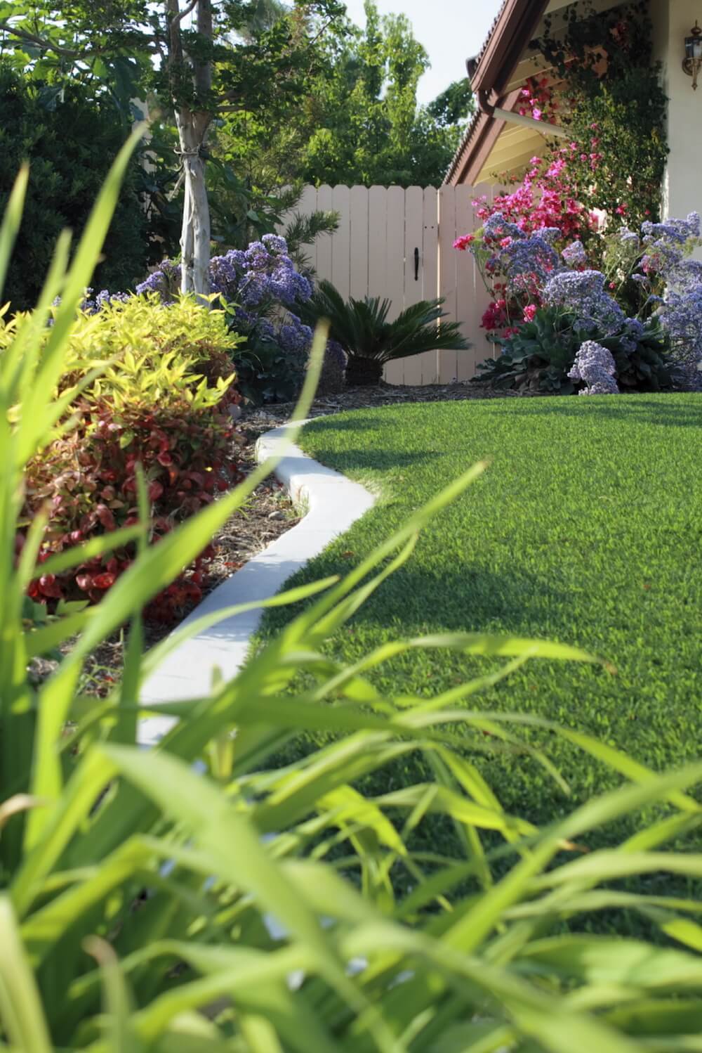 Backyard Artificial Turf Idea