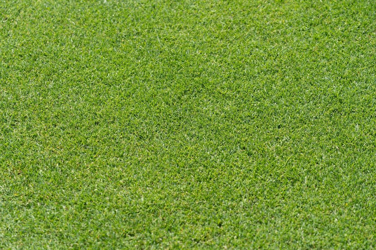 artificial grass cricket pitch From 4m Roll to 3.05m Strip: Material Yield &