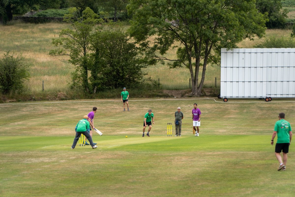 artificial grass cricket pitch What
